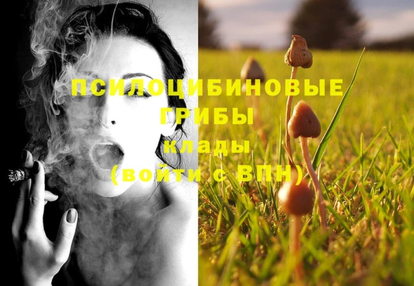 МДМА Алексин